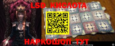 амф Кандалакша