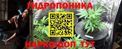 соль ск Кингисепп