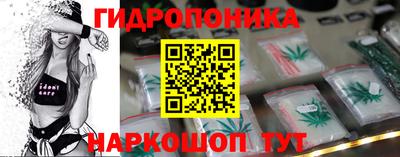 соль ск Кингисепп