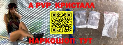 соль ск Кингисепп