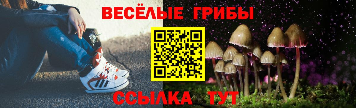 купить наркоту  Псилоцибиновые грибы мицелий  Вход с VPN  Тулун  Псилоцибиновые грибы Psilocybe 
